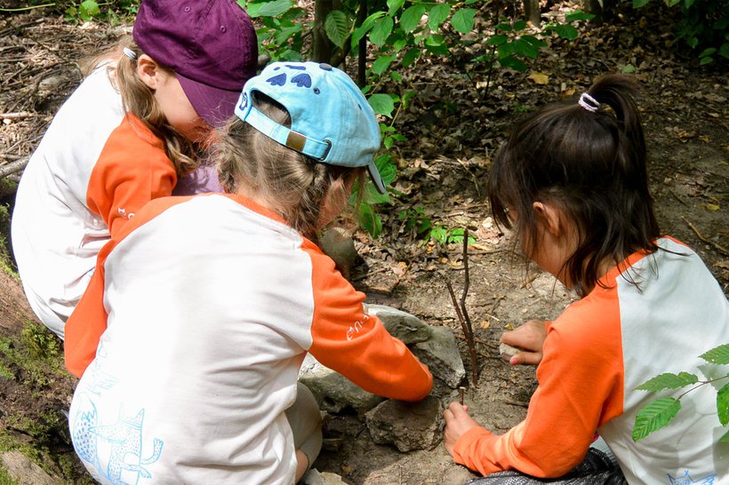 Baden KOW im Wald 2019